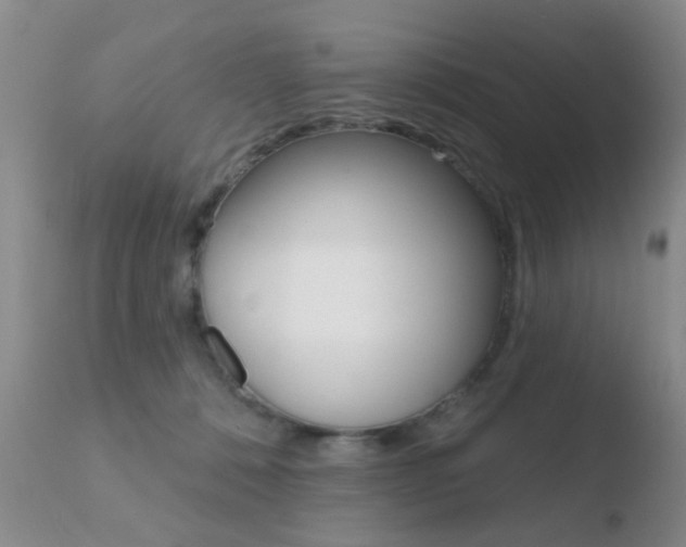 X0000110760320200906150936