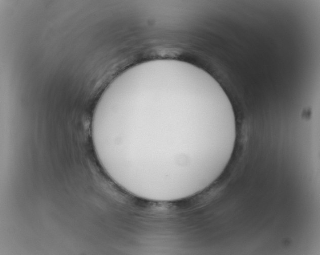 X0000110760321200906150936