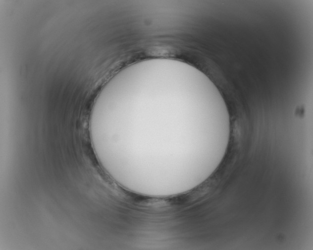 X0000110760322200906150936