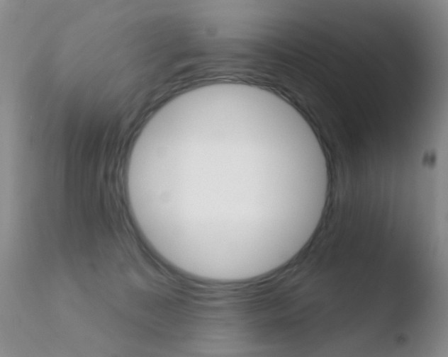 X0000110760323200906150936