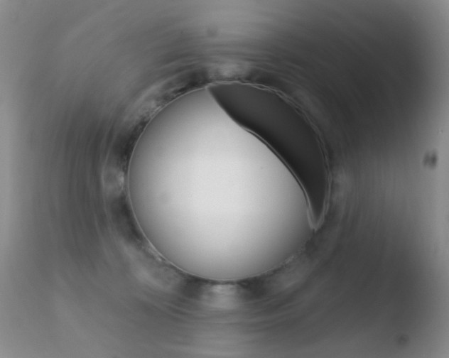 X0000110760324200906150936