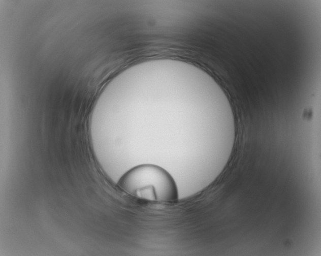 X0000110760325200906150935