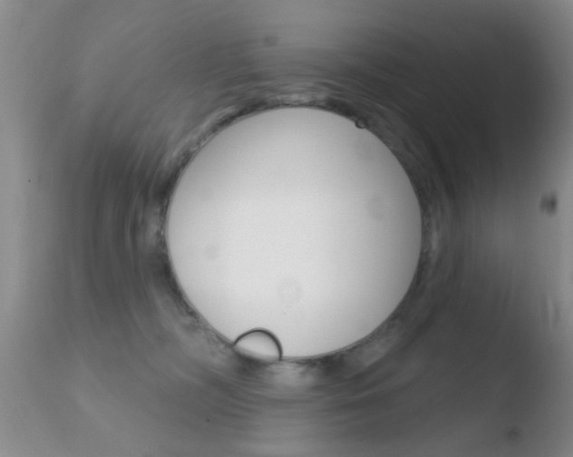 X0000110760326200906150935