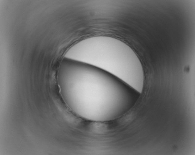 X0000110760327200906150935