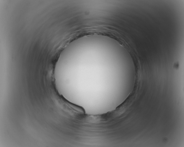 X0000110760328200906150935