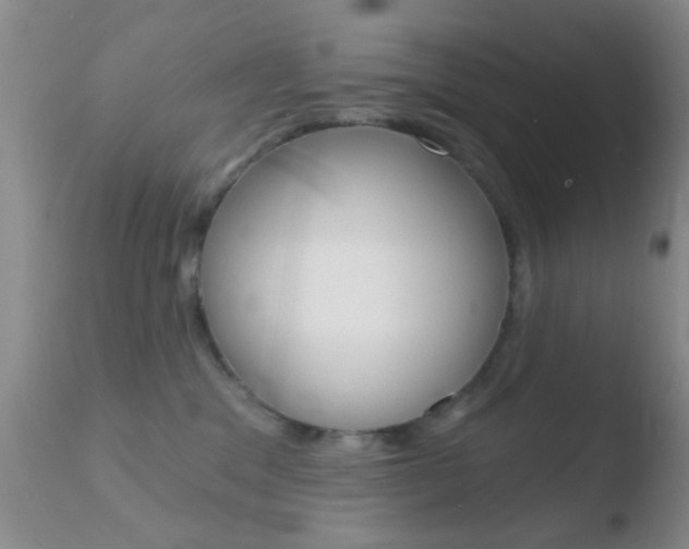 X0000110760329200906150935