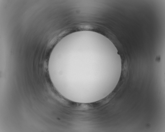 X0000110760330200906150935