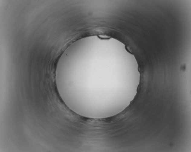 X0000110760331200906150935