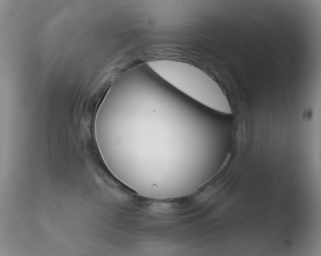 X0000110760332200906150935