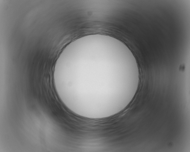 X0000110760333200906150935