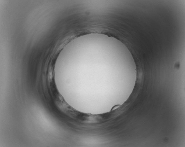 X0000110760334200906150935