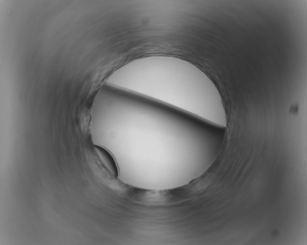 X0000110760335200906150935