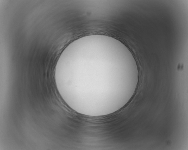 X0000110760336200906150935