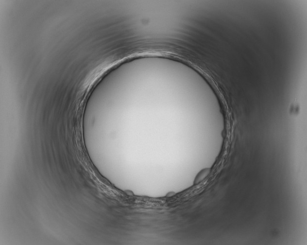 X0000110760337200906150935