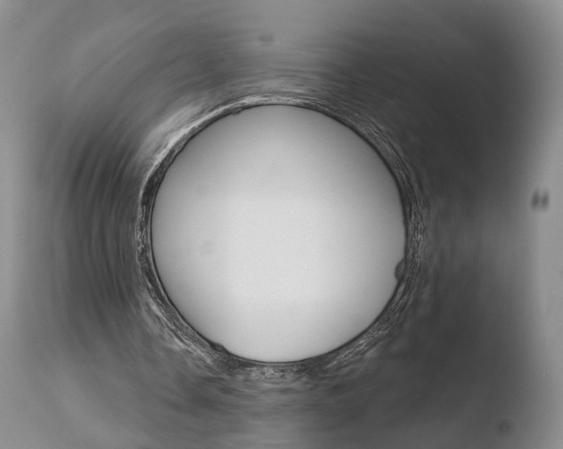 X0000110760338200906150935