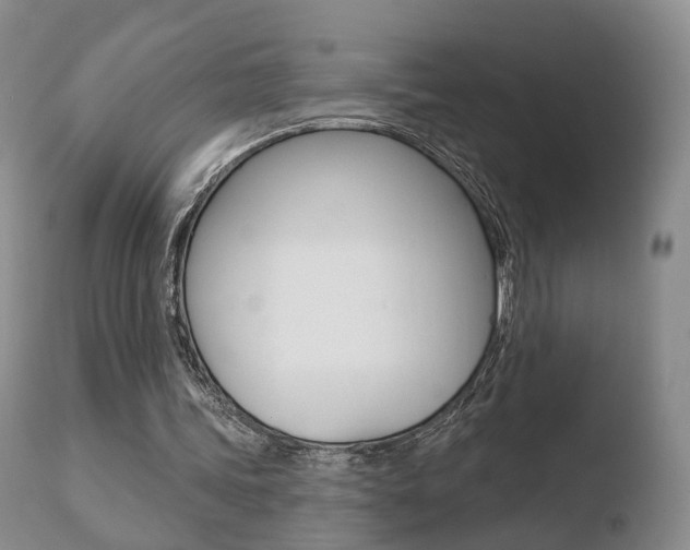 X0000110760339200906150935