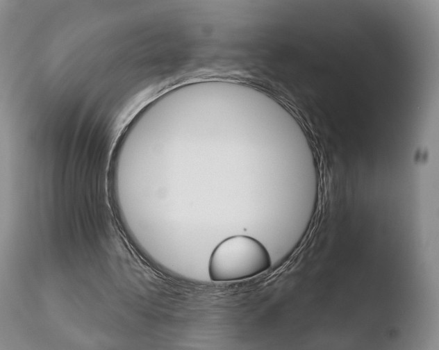 X0000110760340200906150935