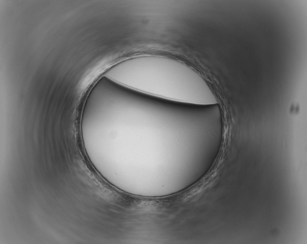 X0000110760341200906150935