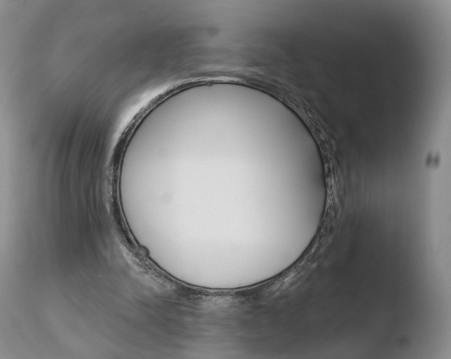 X0000110760342200906150935