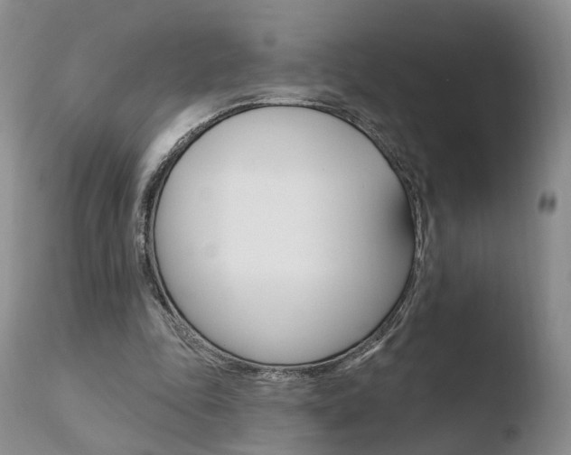 X0000110760343200906150935