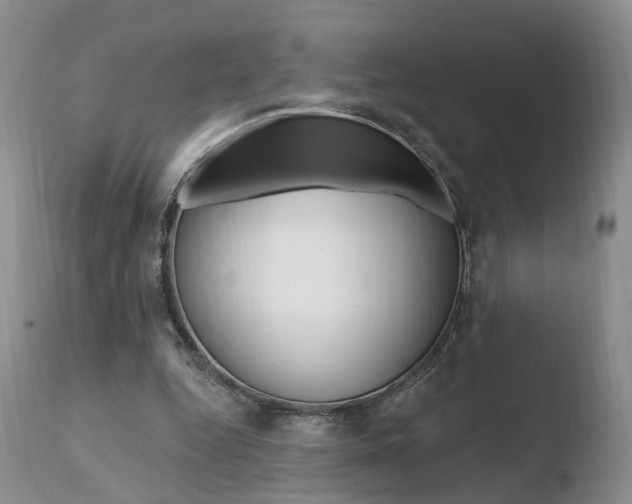 X0000110760344200906150935