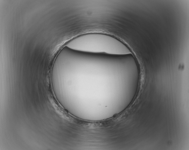 X0000110760345200906150935