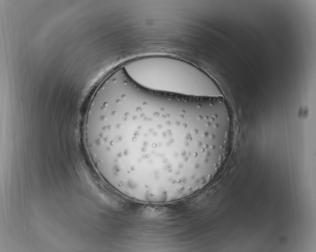 X0000110760346200906150935