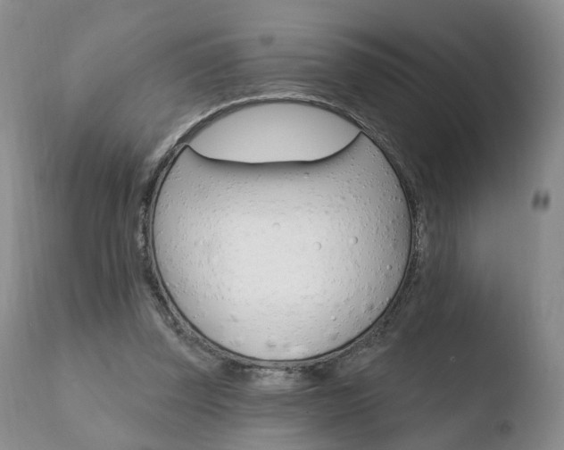 X0000110760347200906150935