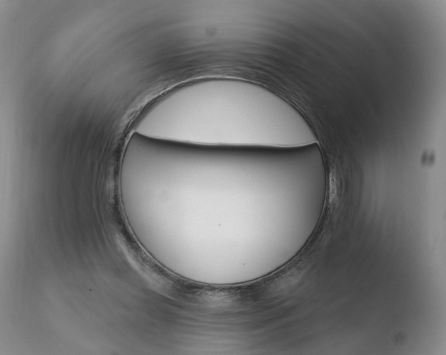 X0000110760349200906150935