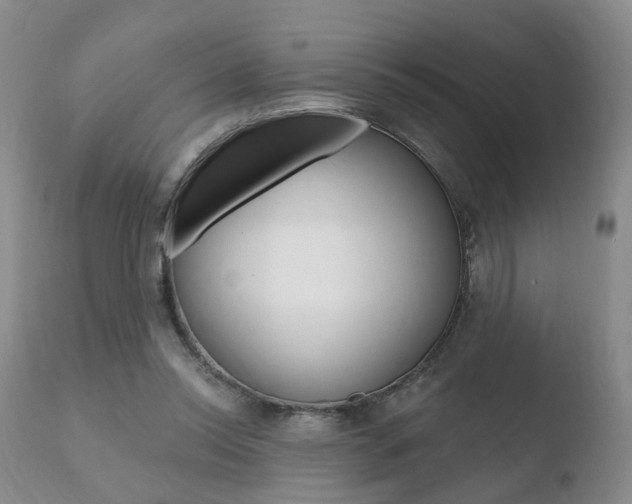 X0000110760350200906150935