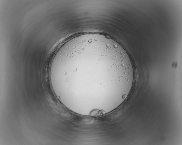 X0000110760351200906150935