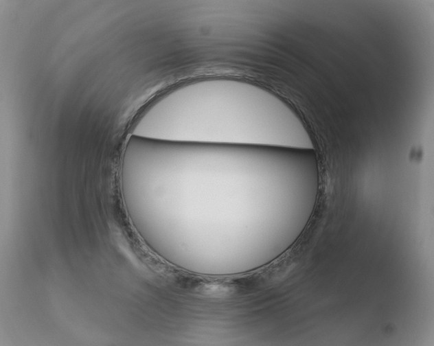 X0000110760352200906150935