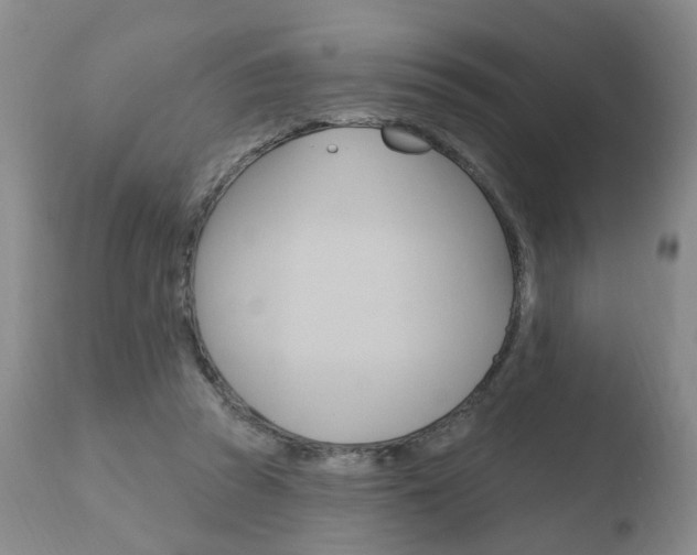 X0000110760353200906150935