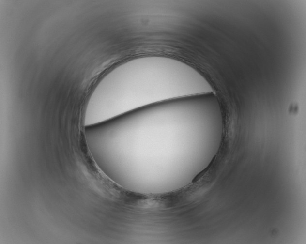 X0000110760356200906150935