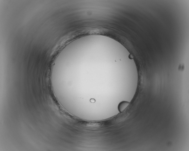 X0000110760357200906150935