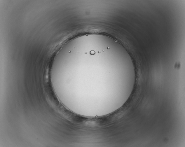 X0000110760358200906150935
