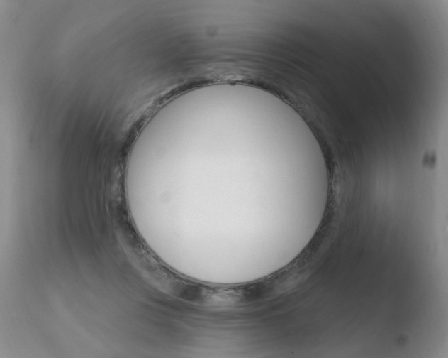 X0000110760359200906150935