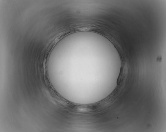 X0000110760360200906150935