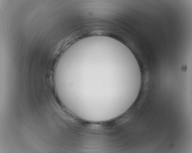X0000110760361200906150935