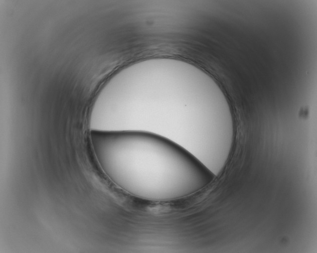 X0000110760362200906150935