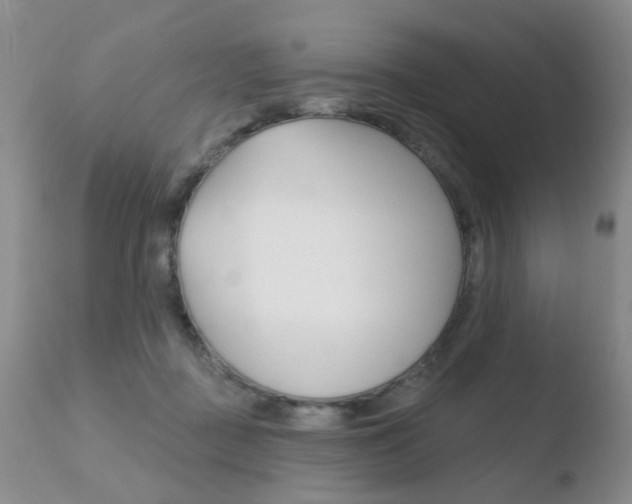 X0000110760363200906150935