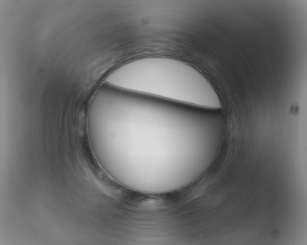 X0000110760364200906150935