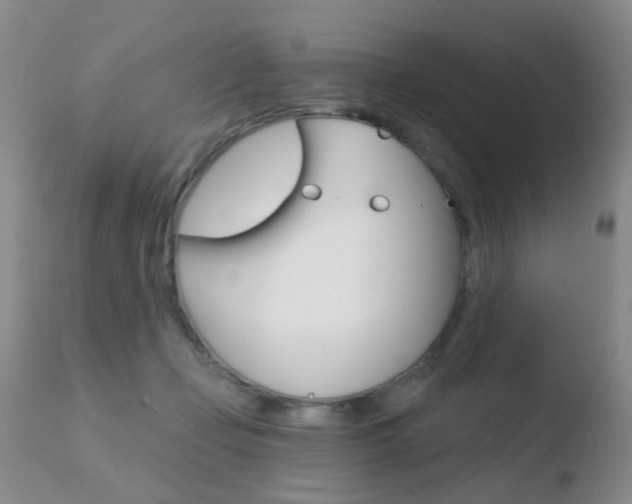 X0000110760365200906150935