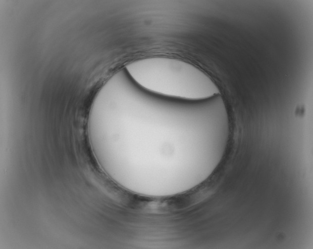 X0000110760366200906150935