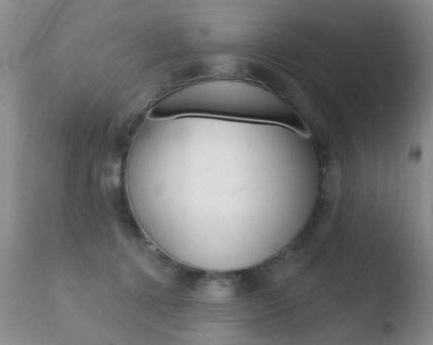 X0000110760368200906150935