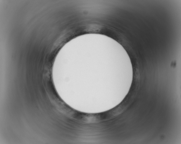 X0000110760370200906150935