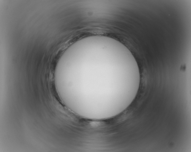 X0000110760371200906150935