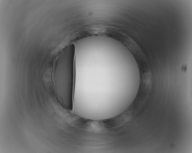 X0000110760372200906150935
