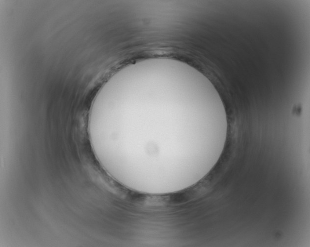 X0000110760373200906150935