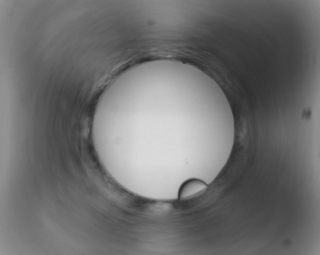 X0000110760374200906150935